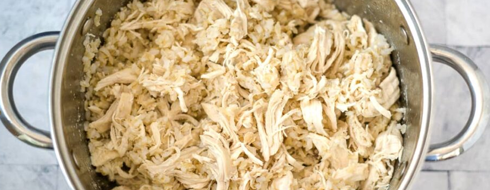 Dog Gut Repair: Why Chicken and Rice Isn’t the Answer for an Upset Stomach