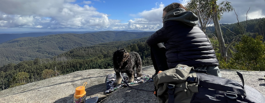 The Best Dog-Friendly Hiking Trails Near Melbourne