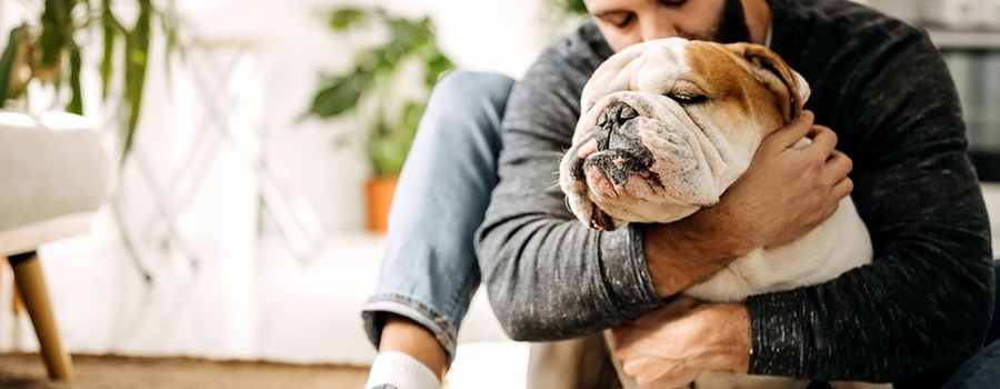 The Ultimate Guide to Being the Perfect Dog Parent: Tips for a Lifetime of Tail Wagging Happiness