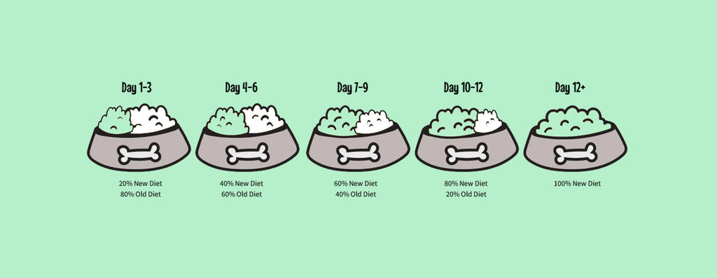 How to Start Raw Feeding for Your Dog: A Beginner’s Guide